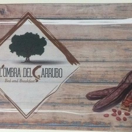 All'Ombra Del Carrubo - メタポント エクステリア 写真